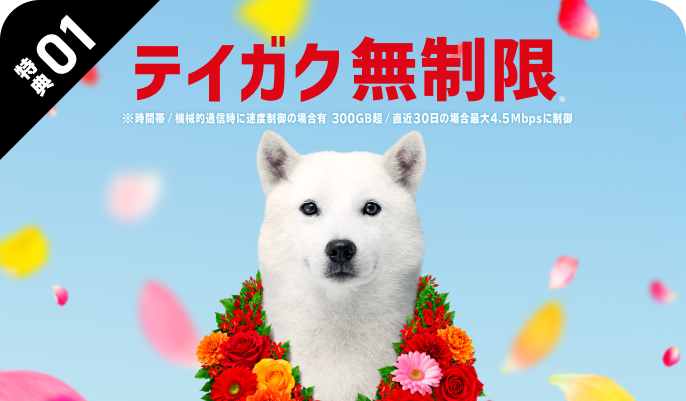 テイガク無制限