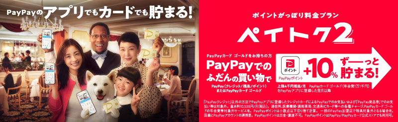 ポイントがっぽり料金プラン ペイトク2