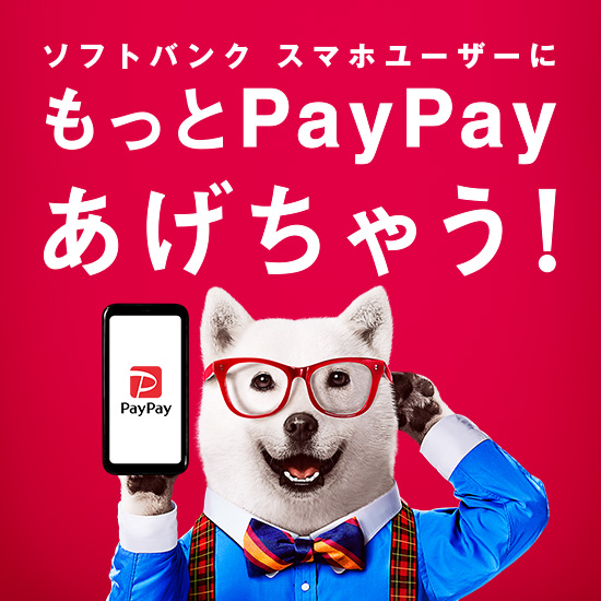 ソフトバンク スマホユーザーに もっとPayPayあげちゃう！