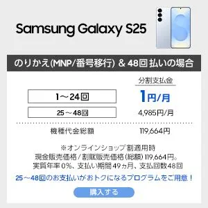 Samsung Galaxy S25