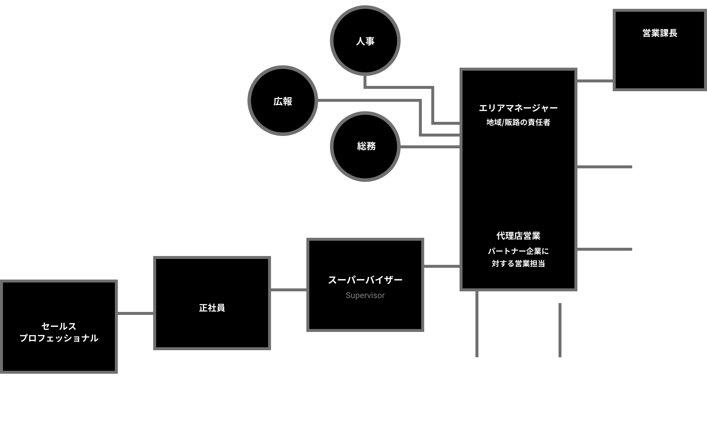 多彩なキャリアマップ