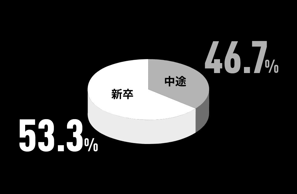 新卒・キャリア 採用比率