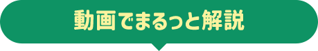 動画でまるっと解説
