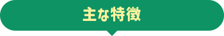 主な特徴
