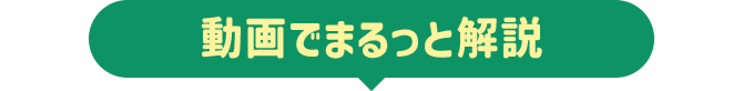 動画でまるっと解説
