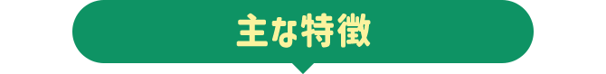 主な特徴