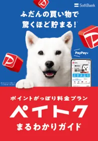 ペイトクまるわかりガイド
