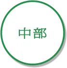 中部