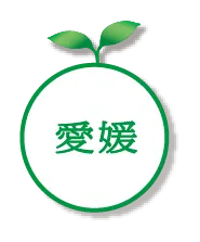 愛媛