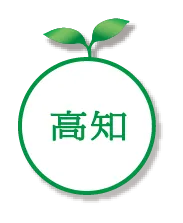 高知
