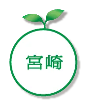 宮崎