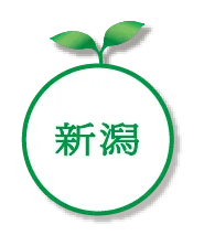 新潟