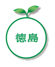 徳島