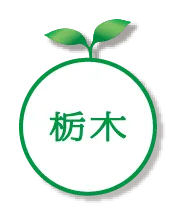栃木