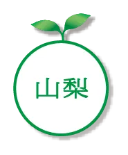 山梨
